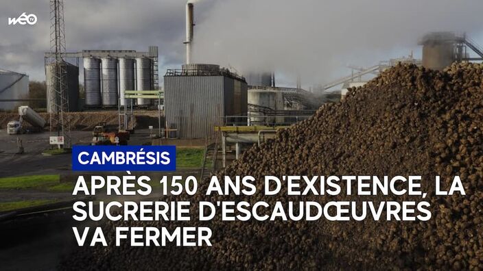 Cambrésis - Escaudœuvres : fermeture de la dernière sucrerie du Nord